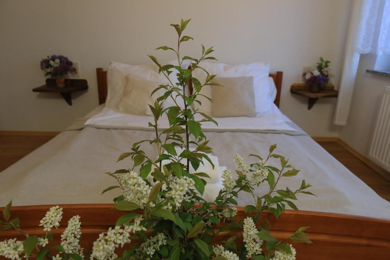 Agroturystyka Sikorki Lubomierz  外观 照片